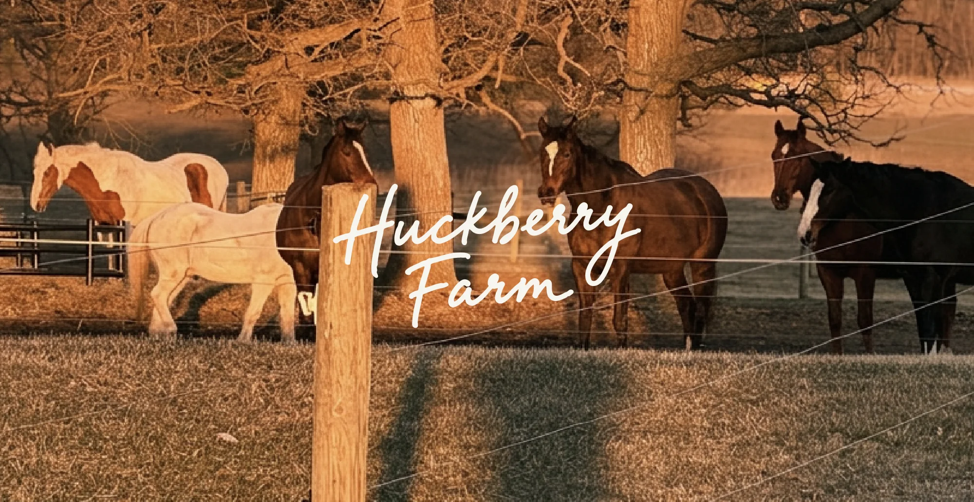 Horses along the fence line at dusk with the Huckberry Farm script wordmark