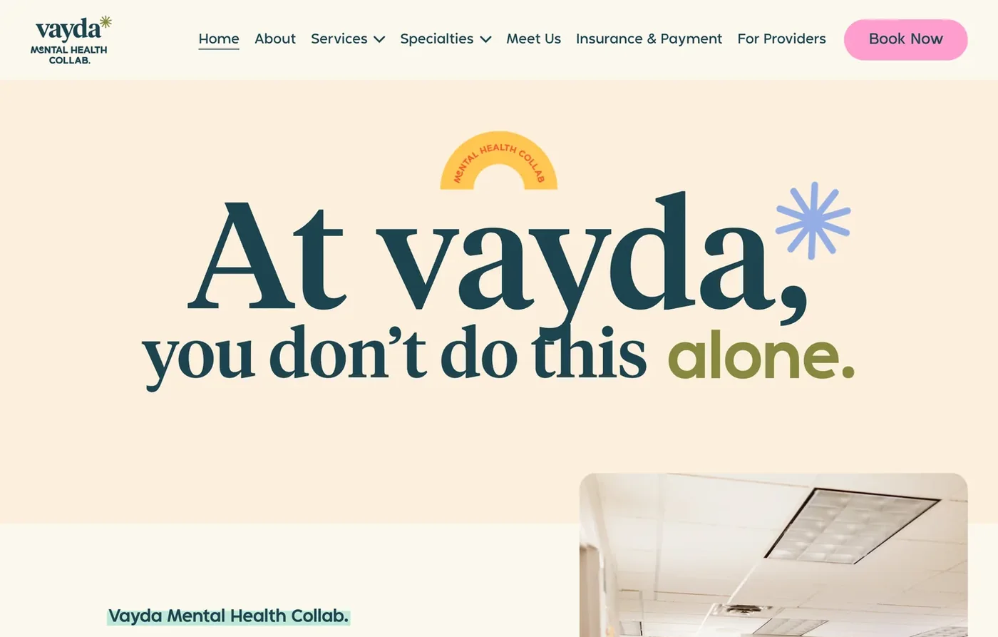 Vayda Mental Health Collab. — brand and web design